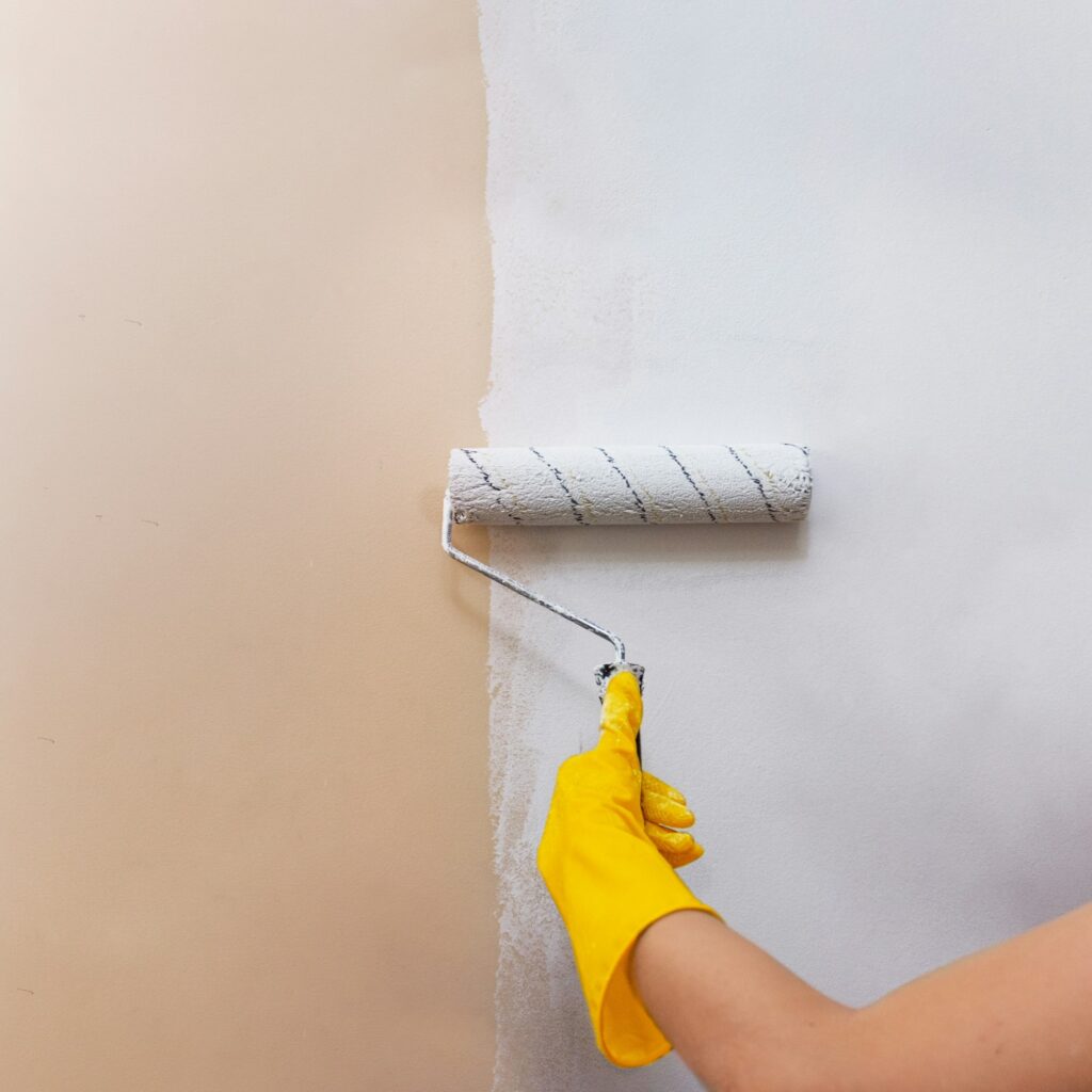 painting the walls with a roller. home repairs. renovation